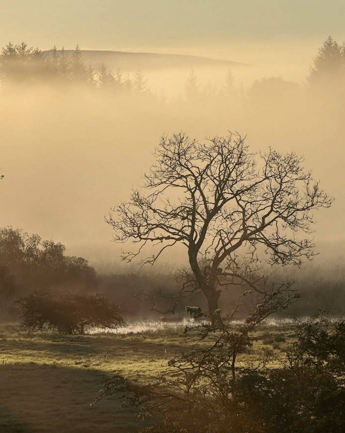 Writing, Whiskey, and the Hill of&nbsp;Witches